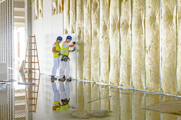 Best Insulation Installation Services in Cannelton, IN